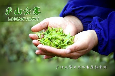 image14741829048981474182904898.jpg 庐山云雾.jpg