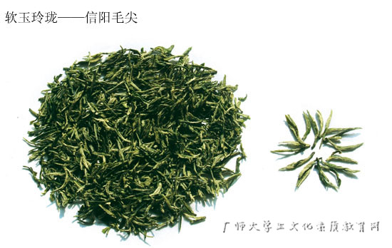 image14741833742921474183374292.jpg 信阳毛尖.jpg