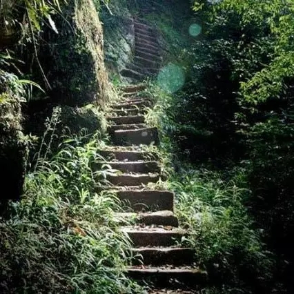 image14664756784171466475678417.jpg 002.webp.jpg