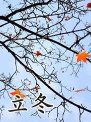 说明: IMG_265